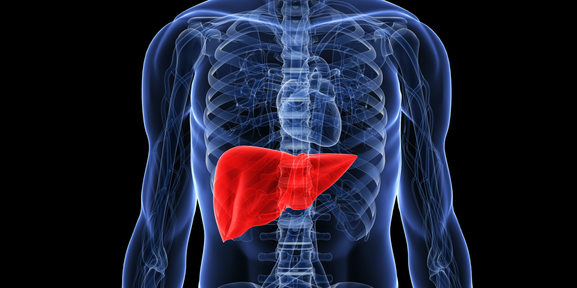 Type of Hepatitis - Liver Image